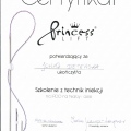 Powiększ obraz: certificate 16