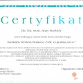 Powiększ obraz: certificate 11