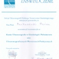 Powiększ obraz: certificate 11