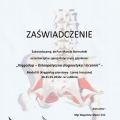 Powiększ obraz: certificate 6