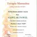 Powiększ obraz: certificate 3