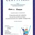 Powiększ obraz: certificate 3