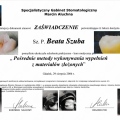 Powiększ obraz: certificate 1
