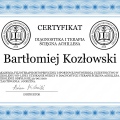 Powiększ obraz: certificate 13