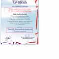 Powiększ obraz: certificate 9