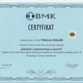 Powiększ obraz: certificate 10