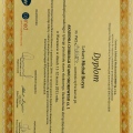 Powiększ obraz: certificate 14
