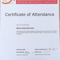 Powiększ obraz: certificate 6