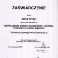 Powiększ obraz: certificate 9
