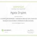 Powiększ obraz: certificate 6
