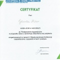 Powiększ obraz: certificate 17