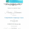 Powiększ obraz: certificate 6
