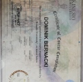 Powiększ obraz: certificate 4