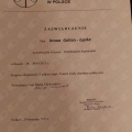 Powiększ obraz: certificate 6