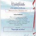 Powiększ obraz: certificate 3