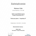 Powiększ obraz: certificate 26