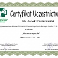 Powiększ obraz: certificate 13