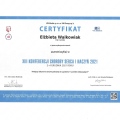 Powiększ obraz: certificate 12