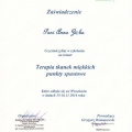 Powiększ obraz: certificate 12