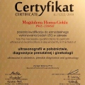 Powiększ obraz: certificate 22