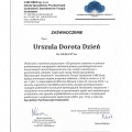 Powiększ obraz: certificate 2