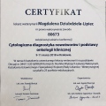 Powiększ obraz: certificate 4