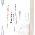 Powiększ obraz: certificate 6