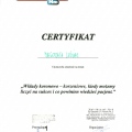 Powiększ obraz: certificate 5
