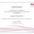 Powiększ obraz: certificate 63
