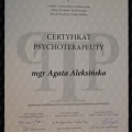 Powiększ obraz: certificate 1