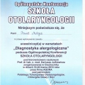 Powiększ obraz: certificate 17