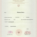 Powiększ obraz: certificate 1