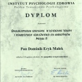 Powiększ obraz: certificate 3