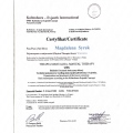 Powiększ obraz: certificate 16