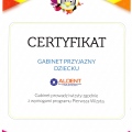 Powiększ obraz: certificate 21