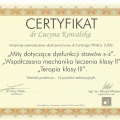 Powiększ obraz: certificate 37