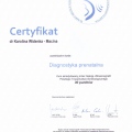Powiększ obraz: certificate 1