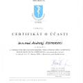 Powiększ obraz: certificate 11