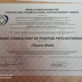 Powiększ obraz: certificate 2