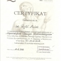 Powiększ obraz: certificate 9