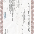 Powiększ obraz: certificate 8