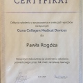 Powiększ obraz: certificate 5
