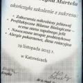 Powiększ obraz: certificate 2