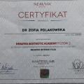 Powiększ obraz: certificate 9