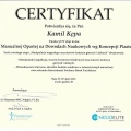 Powiększ obraz: certificate 7