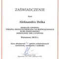 Powiększ obraz: certificate 4