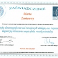 Powiększ obraz: certificate 3