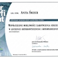 Powiększ obraz: certificate 11