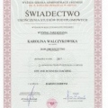 Powiększ obraz: certificate 8