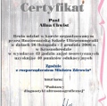 Powiększ obraz: certificate 10